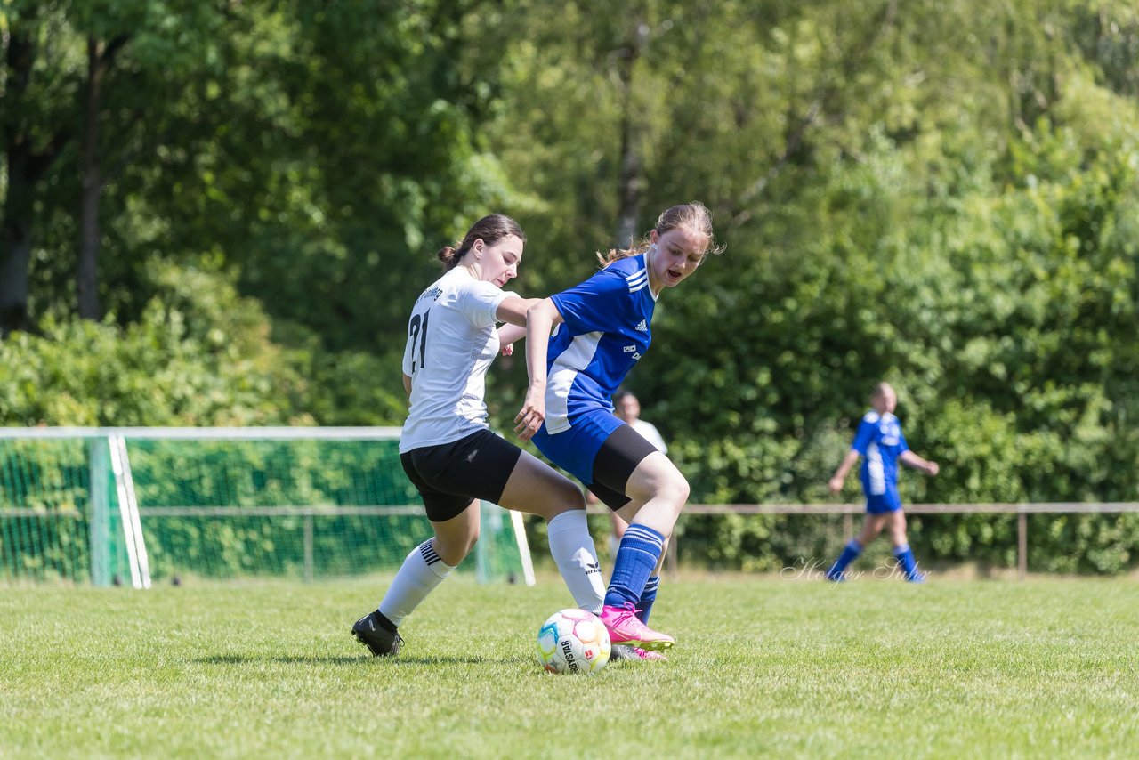 Bild 68 - wBJ VfL Pinneberg - Harksheide : Ergebnis: 2:1